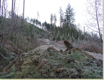 Geocaching 044