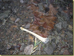 Geocaching 027