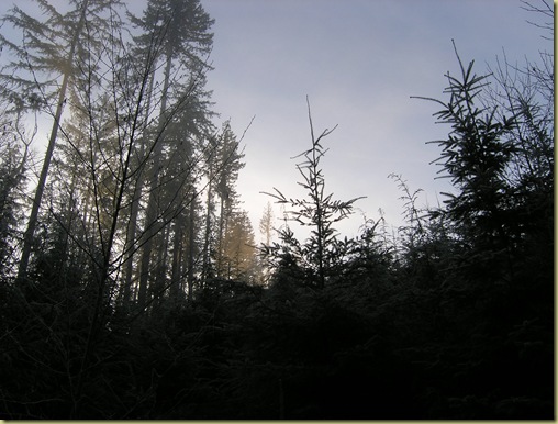 Geocaching 060