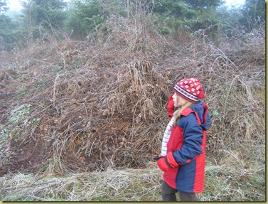 Geocaching 078