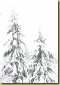 070