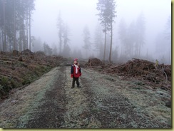 Geocaching 038